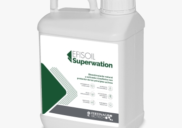EFISOIL Superwation biostimulátor ideális huminsav-fulvosav aránnyal